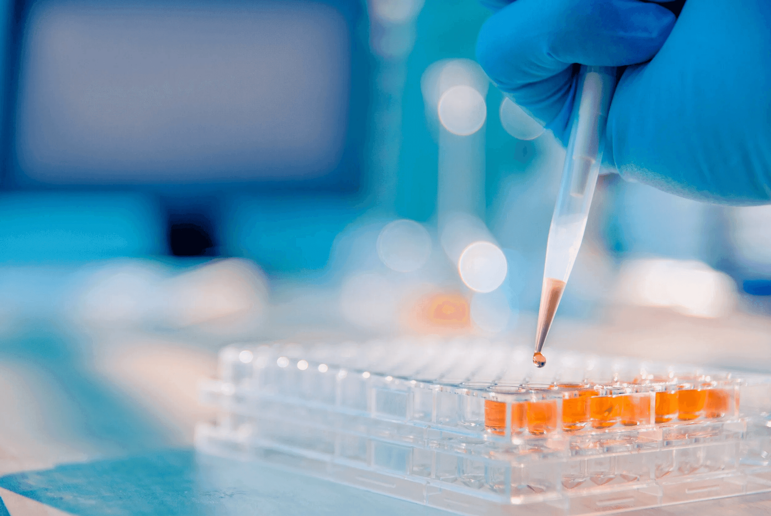 MonteSera Background